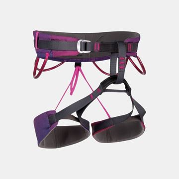 Picture of ENERGY JANJA VIOLET  M